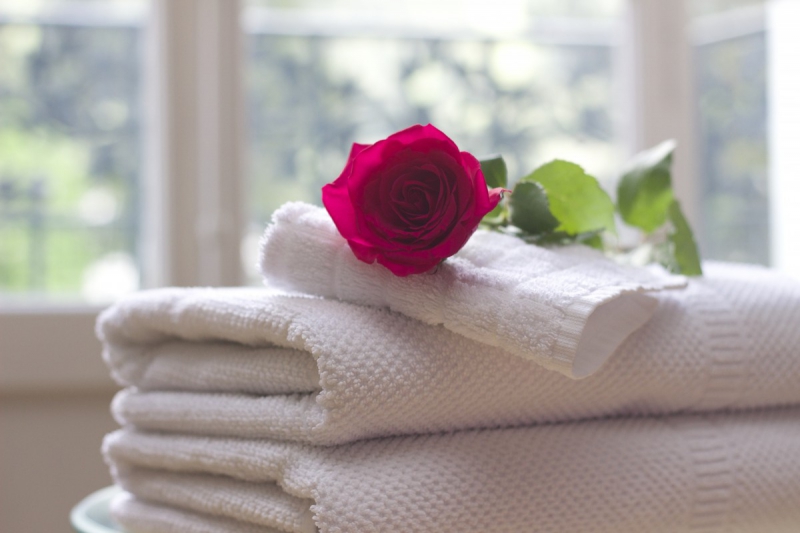 hotel-ST PAUL EN FORET-min_towel_rose_clean_care_salon_spa_white_bath-731641